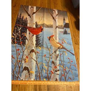 Cardinals snow church winter flag full sized Sam Timm 93